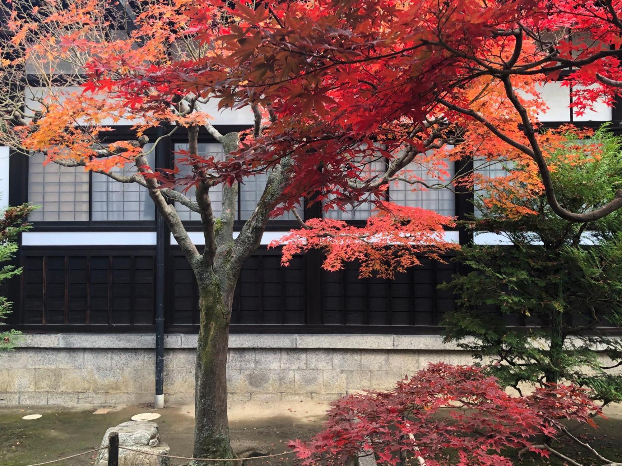 Inari-Home Kyōto Exterior foto